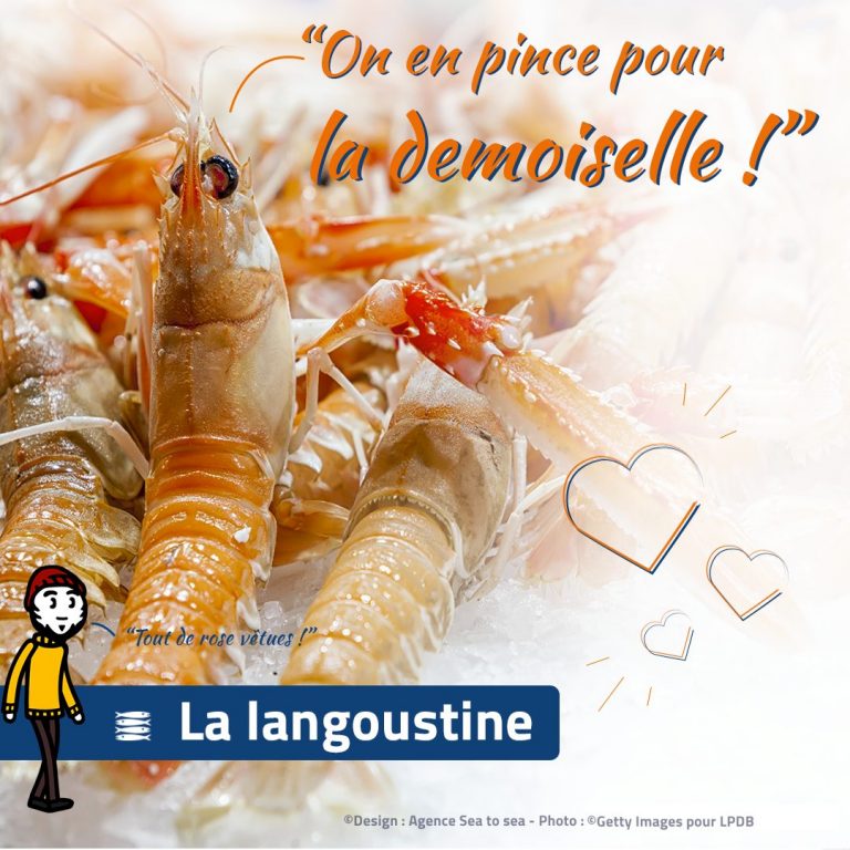 Langoustine