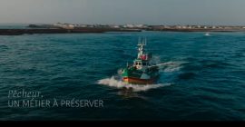 Panorama de la pêche bretonne : STOP aux idées reçues!
